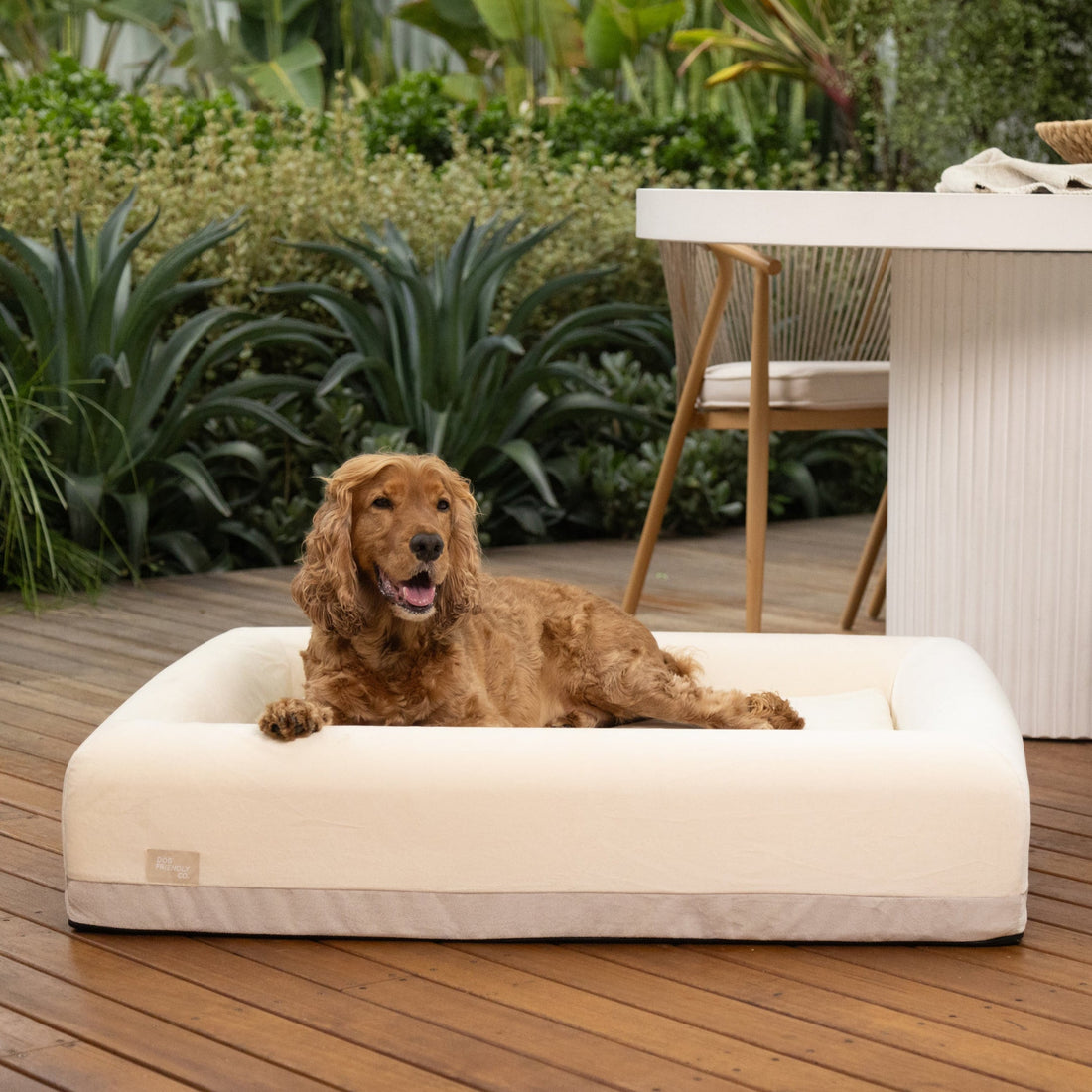 Does Your Dog Actually Need a Bed, or Is the Floor Fine?