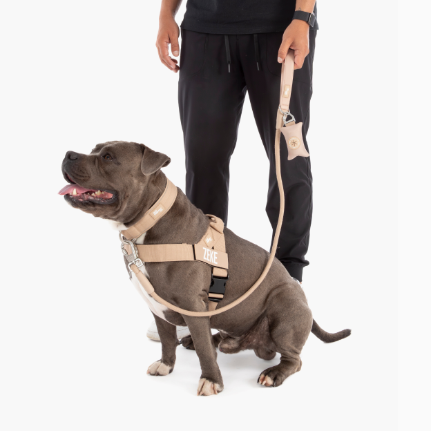 Walk Essentials - Brown