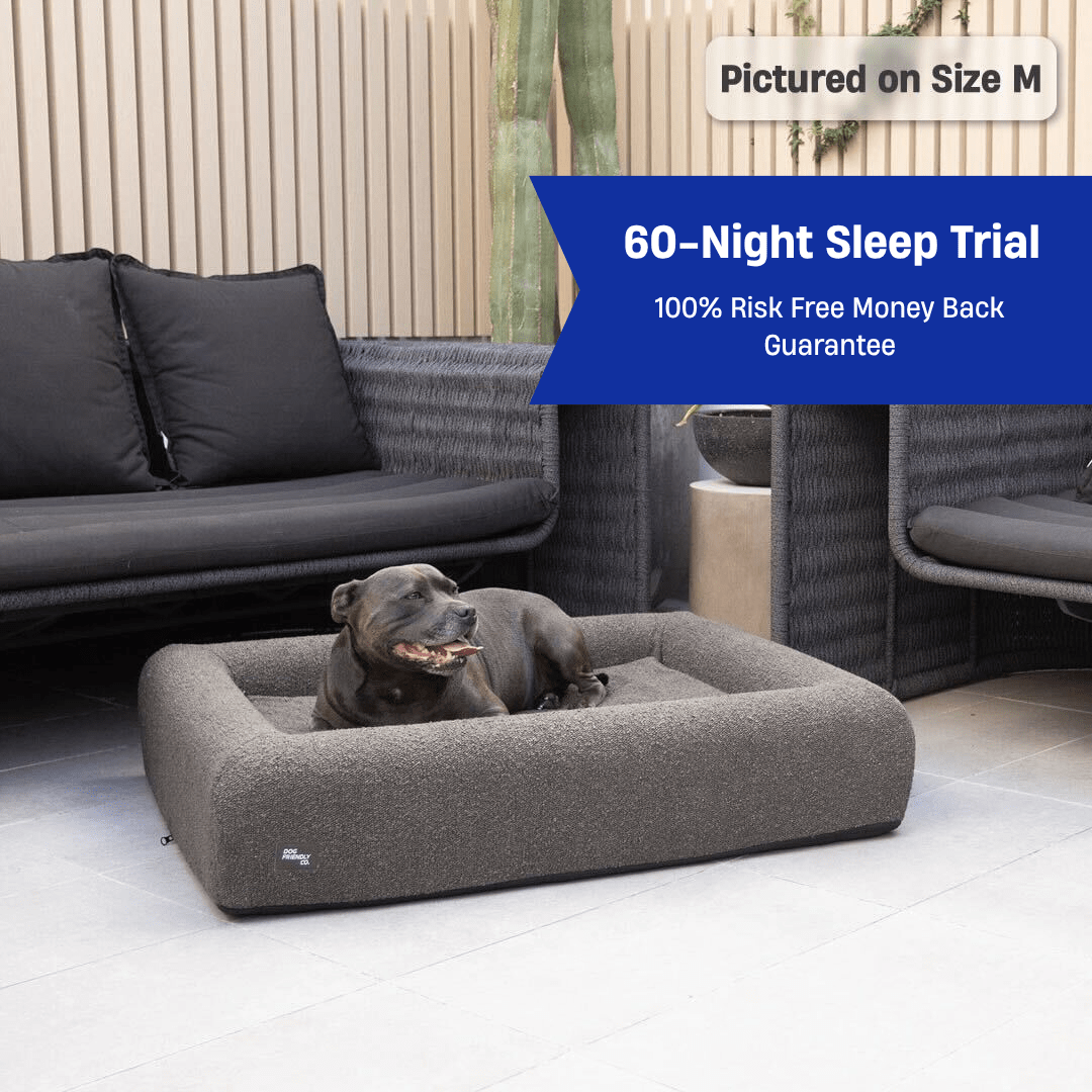 Premium Orthopedic Memory Foam Dog Bed - Brown Bouclé (Large)