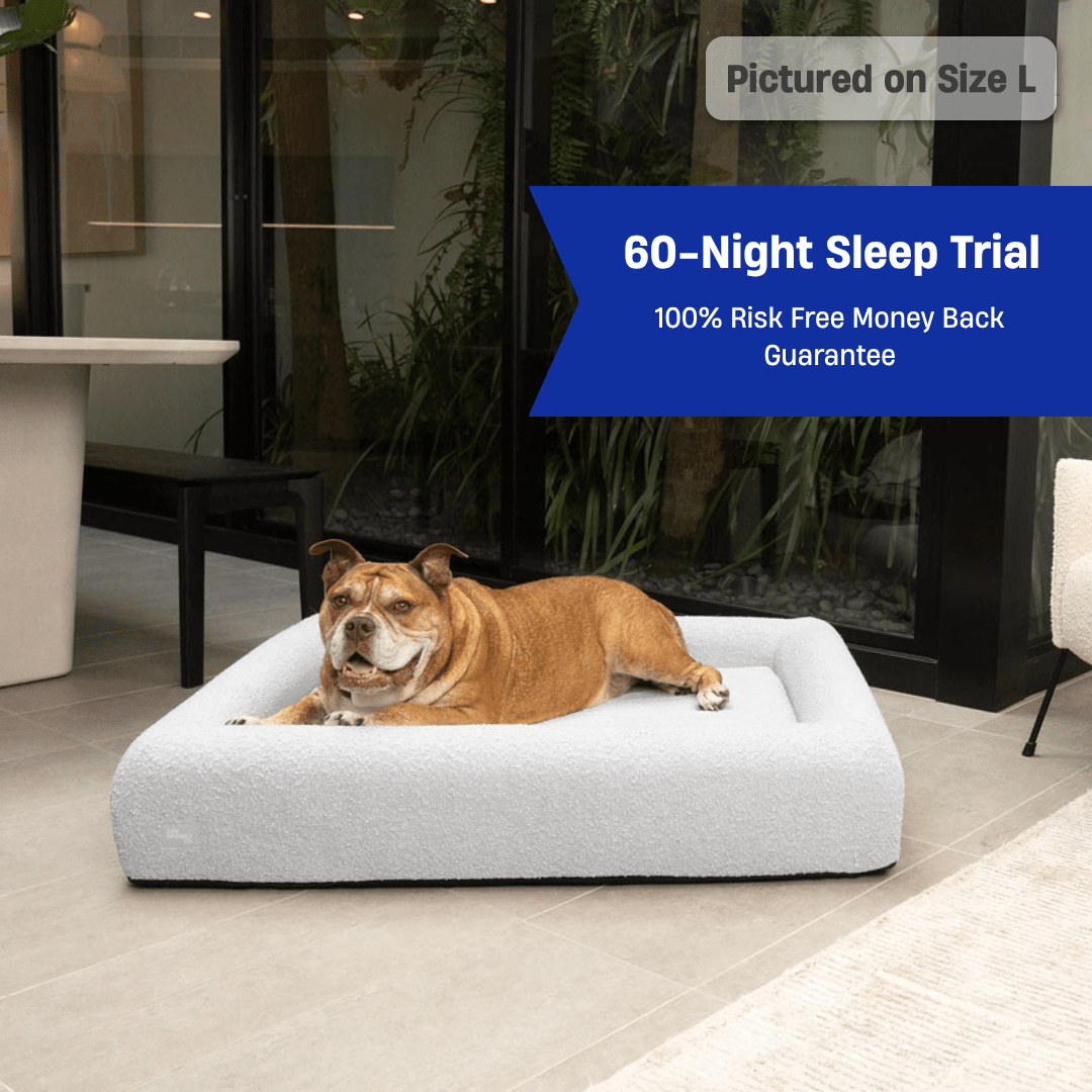 Premium Orthopedic Memory Foam Dog Bed - Grey Bouclé (Large)