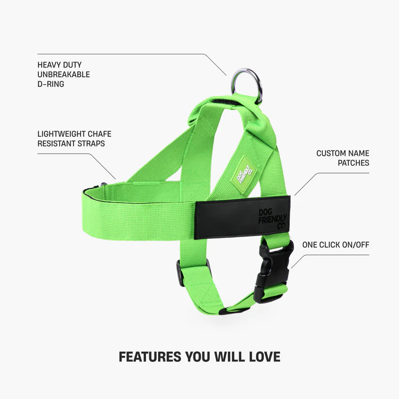 Dog Harness + FREE D-ring