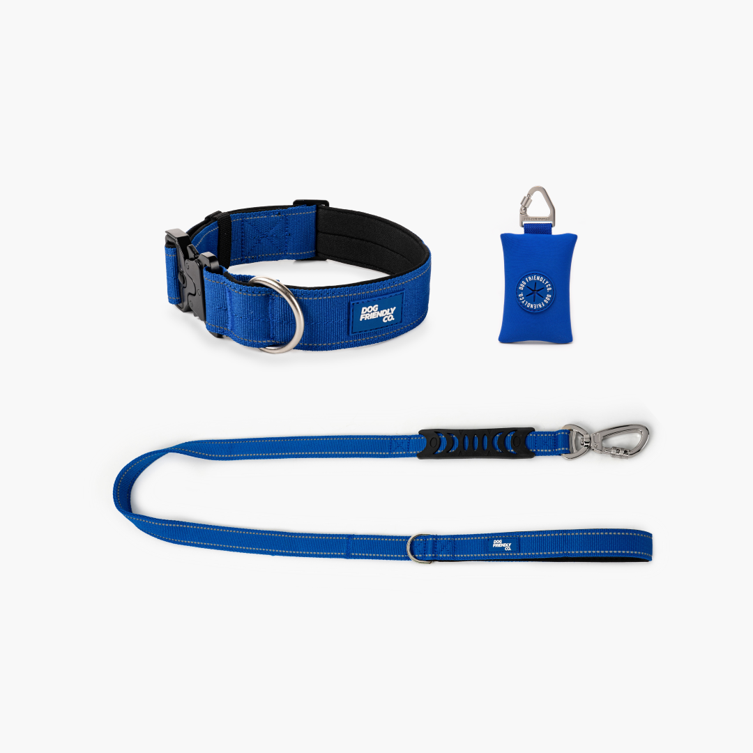 Collar Walk Set - Classic Blue