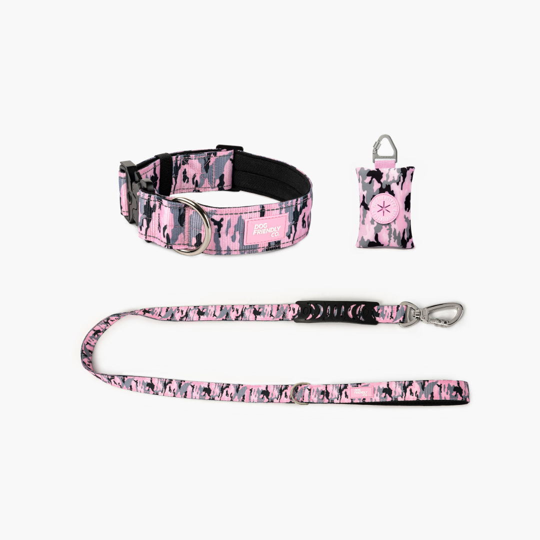 Collar Walk Set - Pink Camo