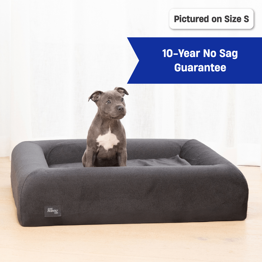 Premium Orthopedic Memory Foam Dog Bed - Charcoal (Large)