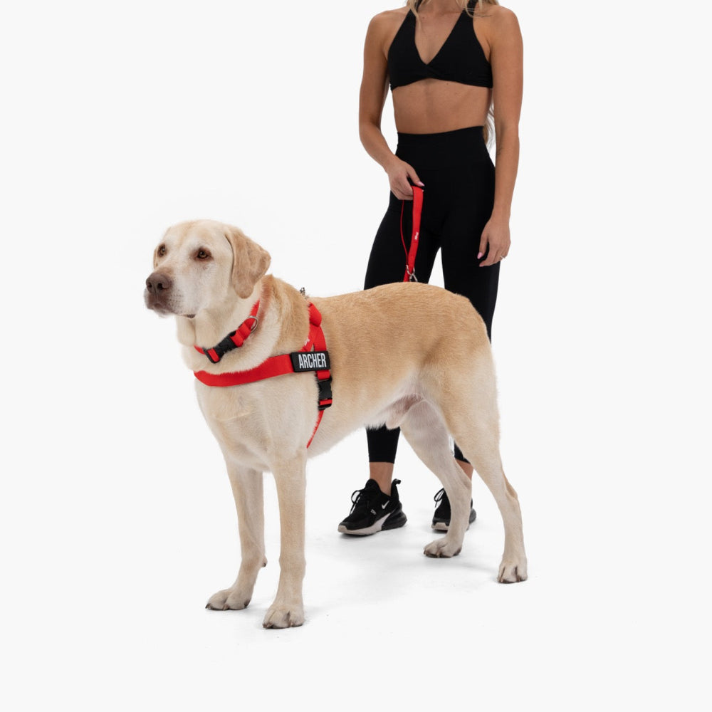 Dog Lovers Pack - Red