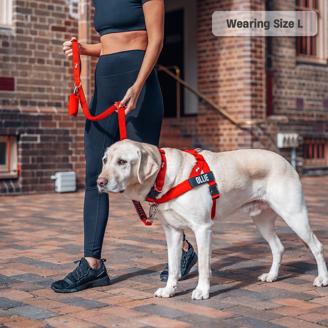 Dog Harness - Red