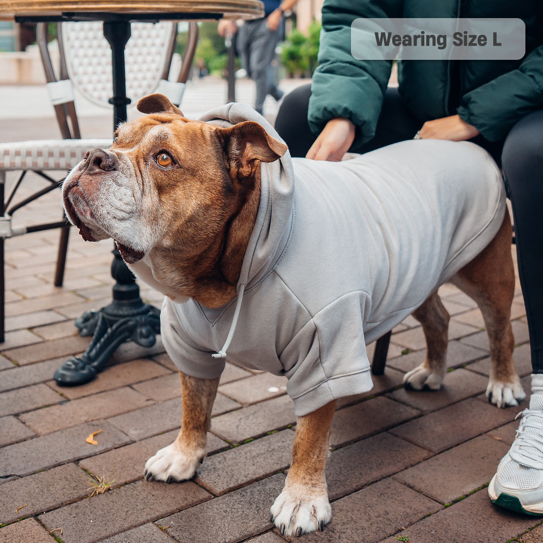 Winter Dog Hoodies - Grey