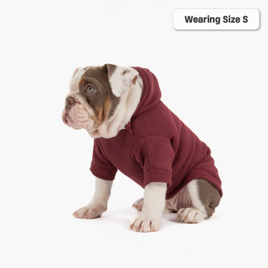 Winter Dog Hoodies - Maroon