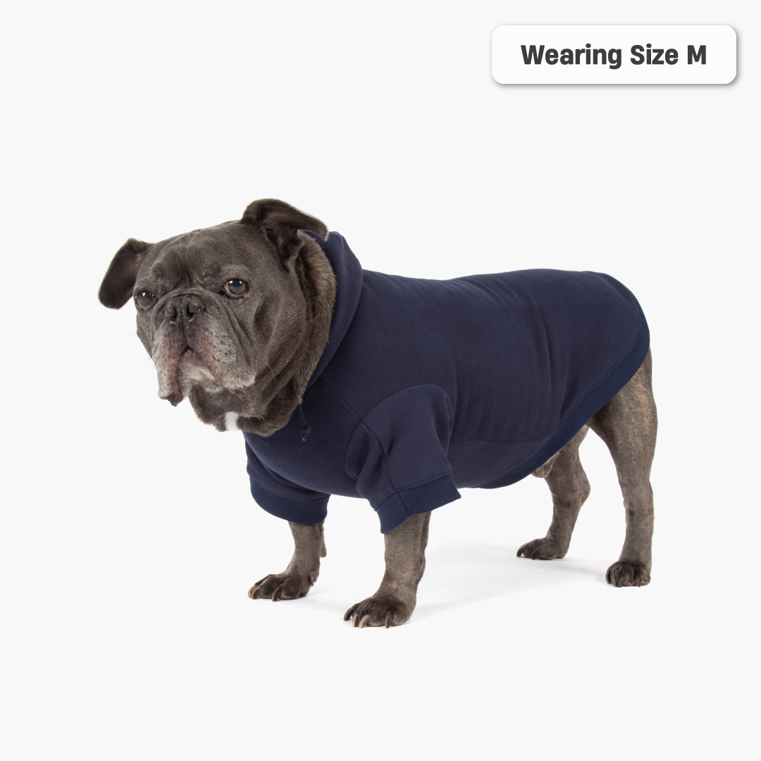Winter Dog Hoodies - Navy Blue