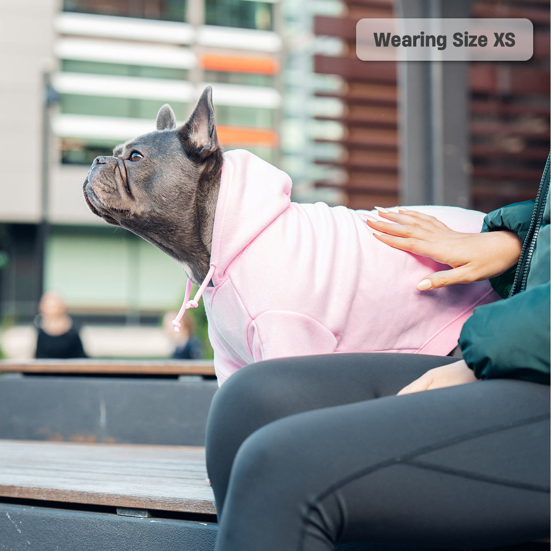 Winter Dog Hoodies - Pink
