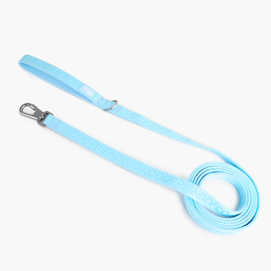 Long Dog Leash - Sky Blue