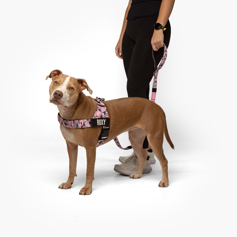 Signature Kit - Pink Camo