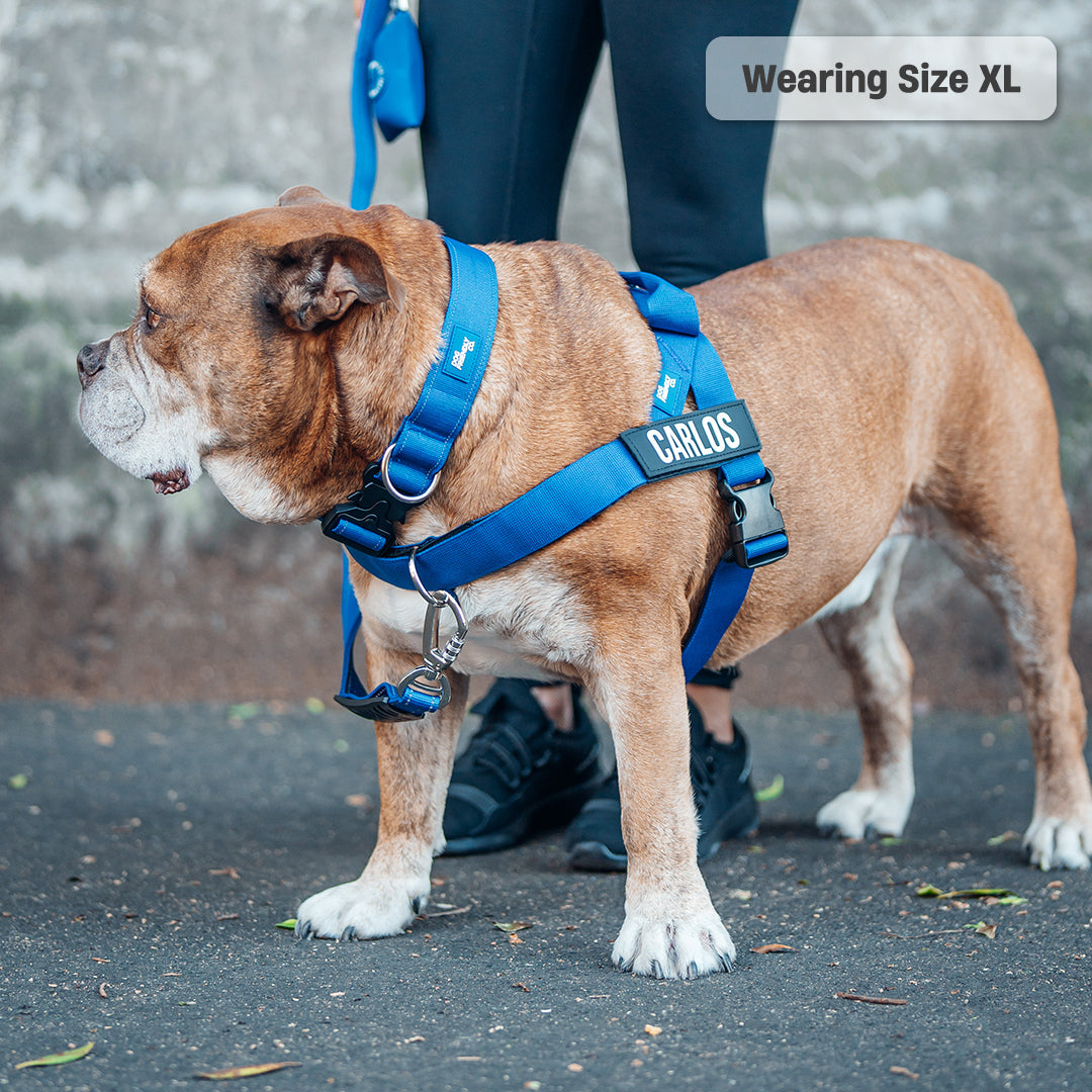 Signature Kit - Classic Blue