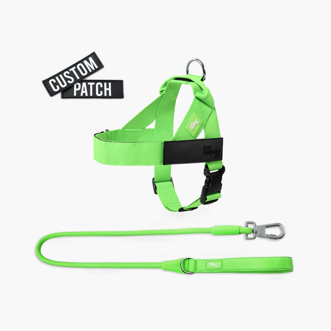 Signature Kit - Neon Green