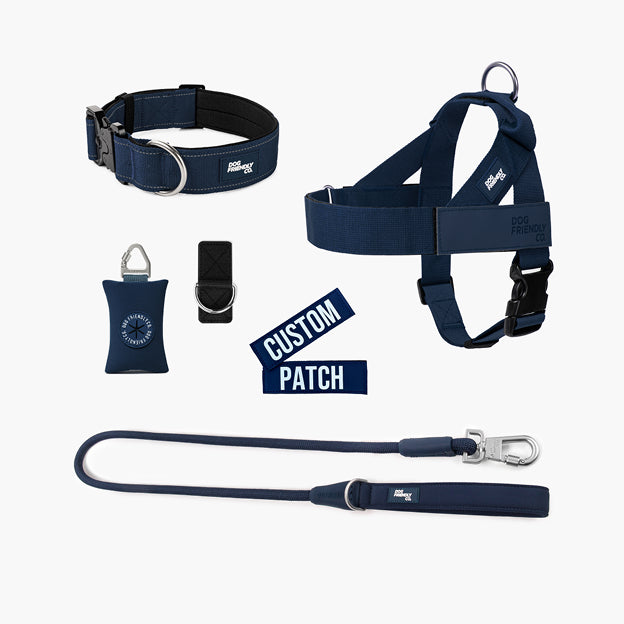 Walk Essentials - Navy Blue