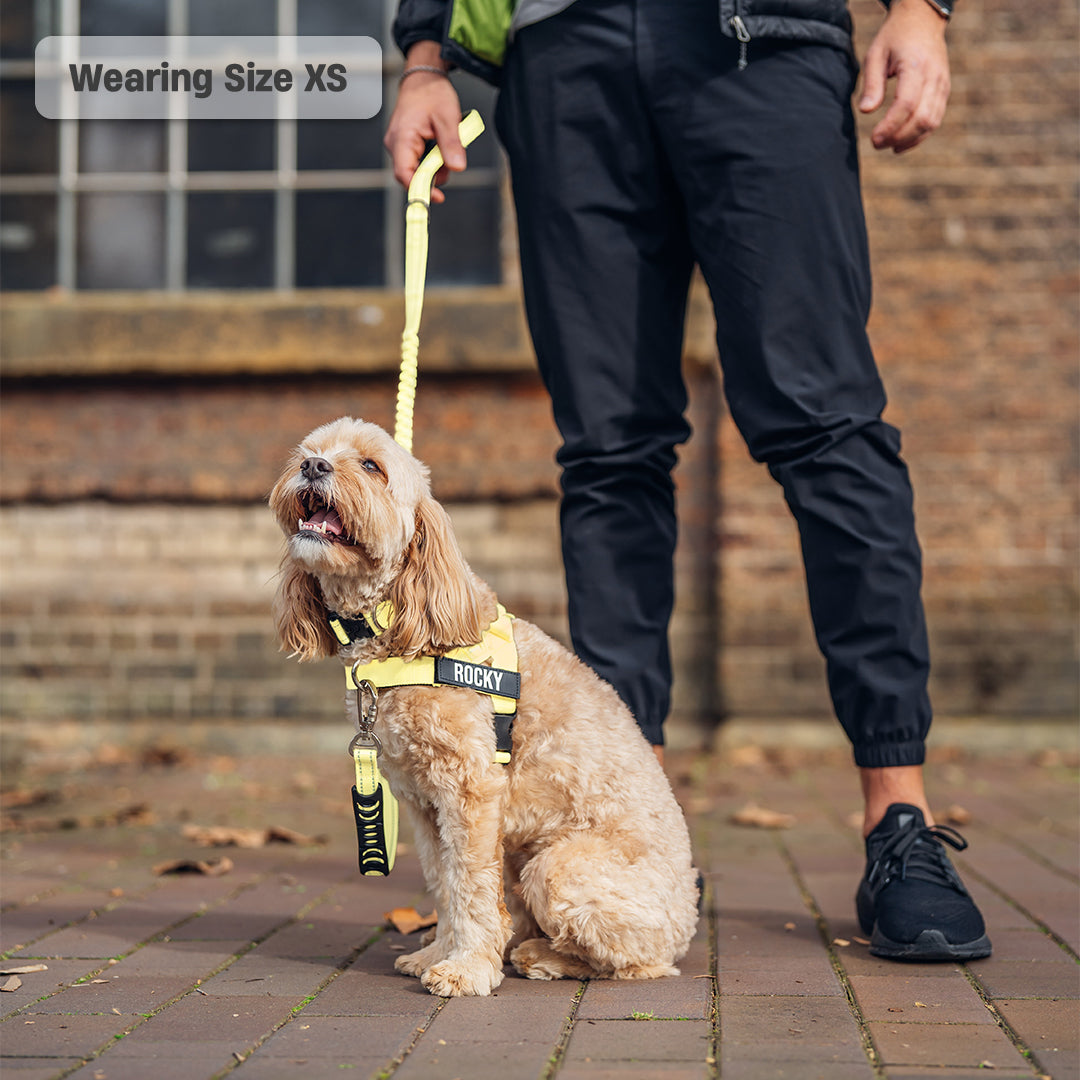 Walk Essentials - Yellow