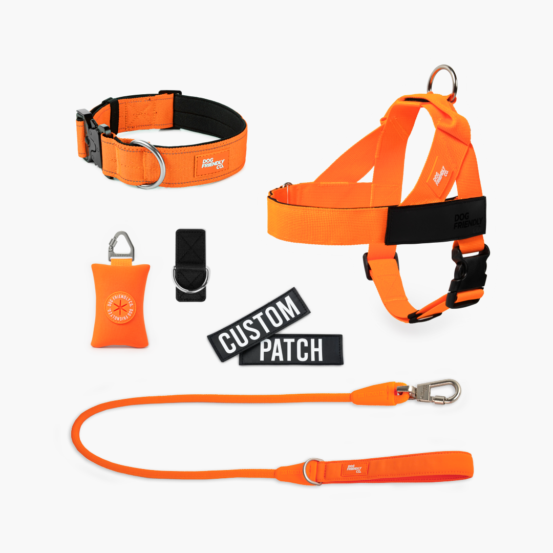 Walk Essentials - Hi-Vis Orange