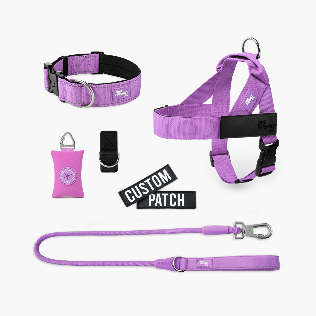 Walk Essentials - Purple