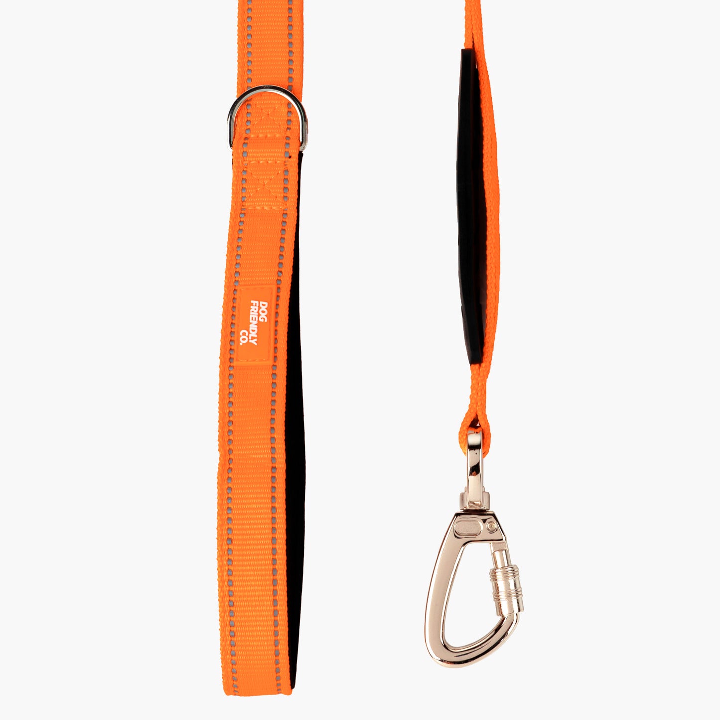 Bungee Dog Leash - Hi-Vis Orange