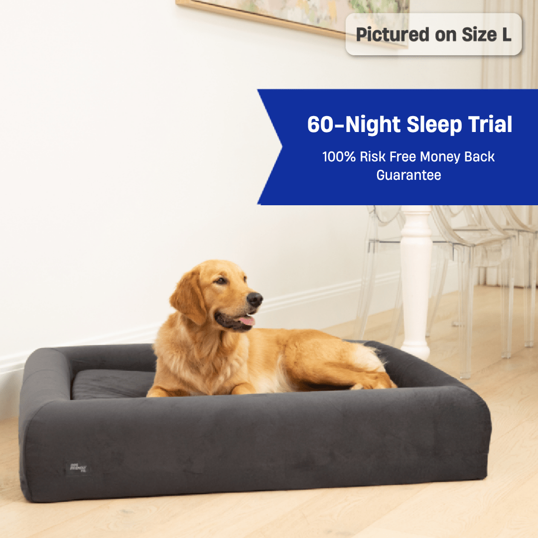 Premium Orthopedic Memory Foam Dog Bed - Charcoal (Large)
