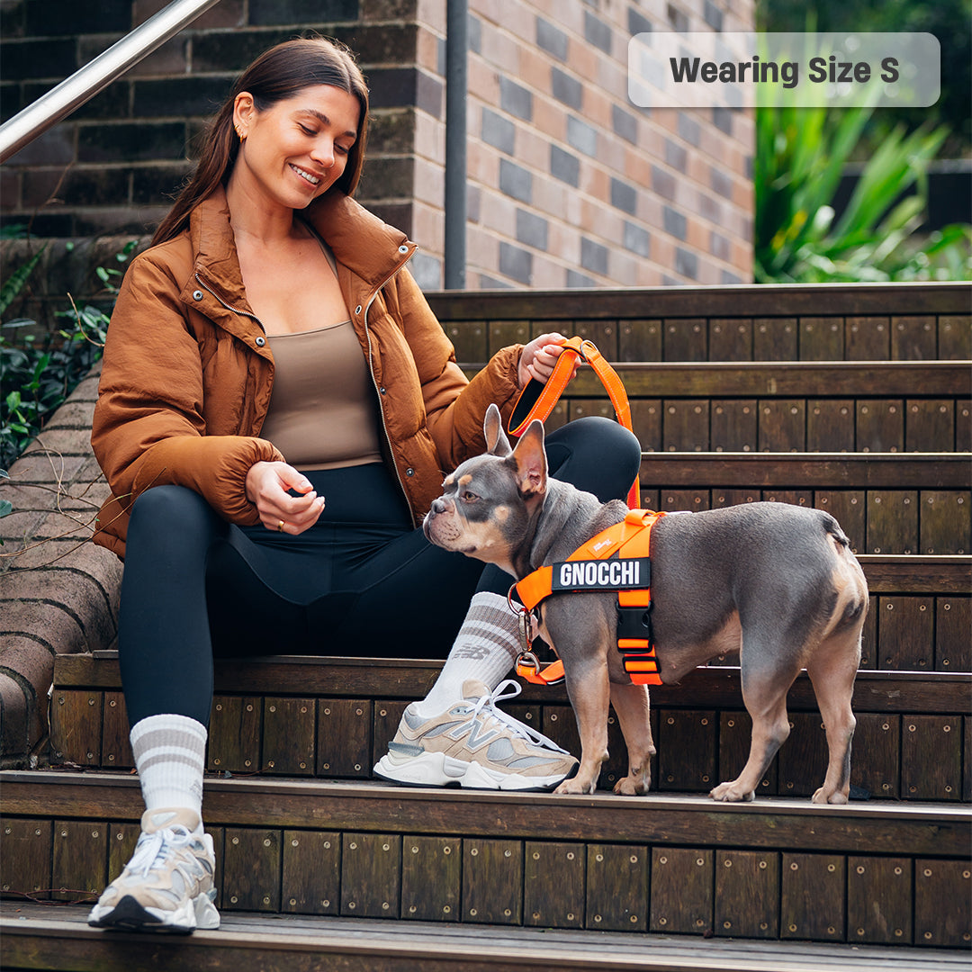 Signature Kit - Orange