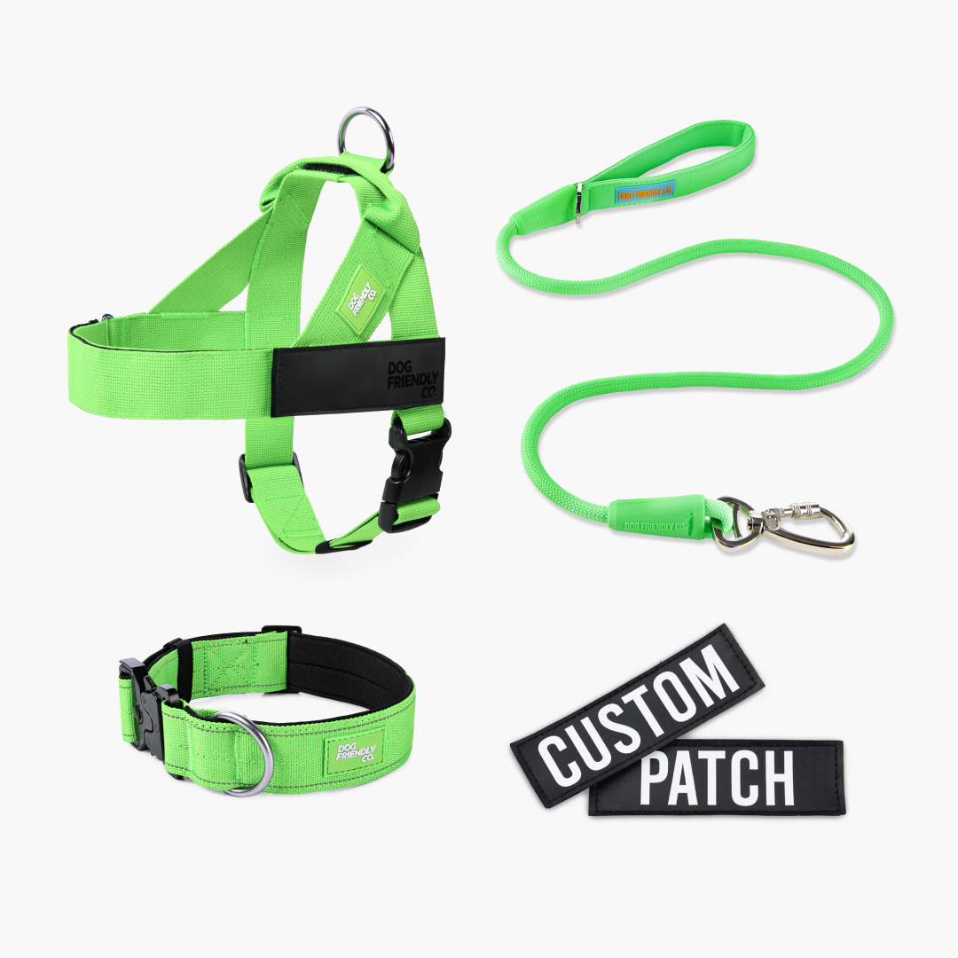 Dog Lovers Pack - Neon Green