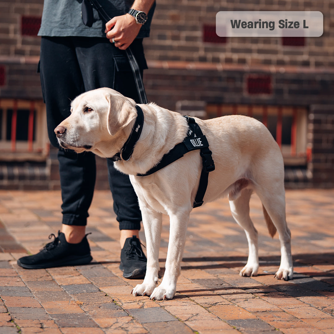 Signature Kit - Black