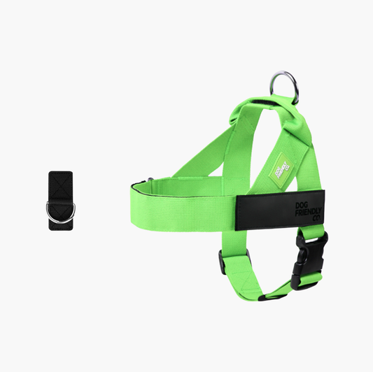 Dog Harness + FREE D-ring