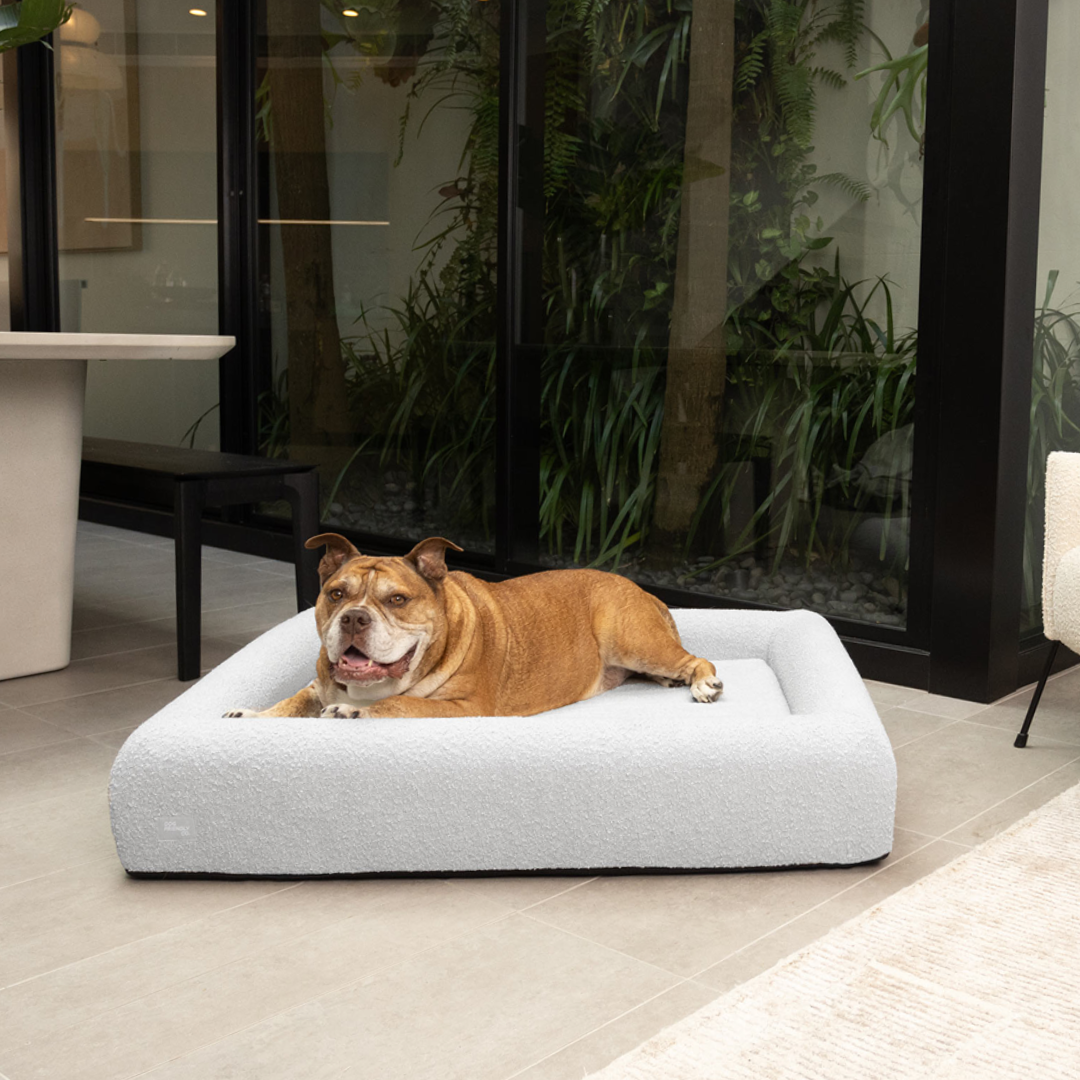 Premium Orthopedic Memory Foam Dog Bed - Grey Bouclé (Large)