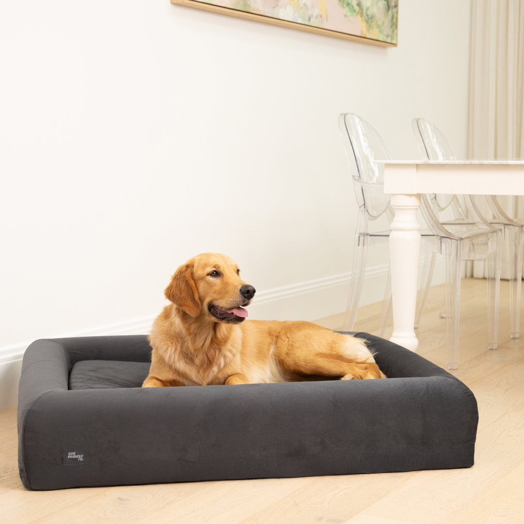 Premium Orthopedic Memory Foam Dog Bed - Charcoal (Large)