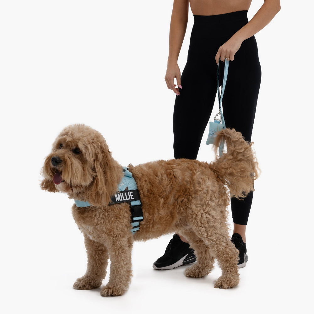 Signature Kit - Sky Blue