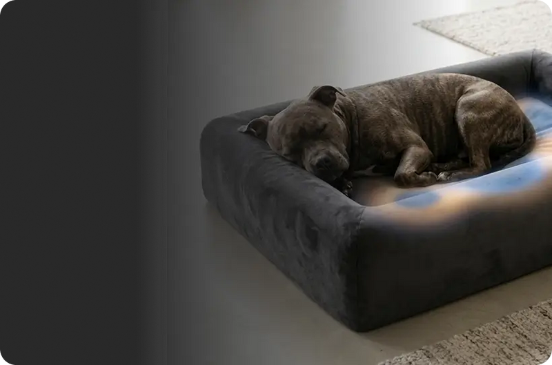 Won't Overheat, Stays Comfortable