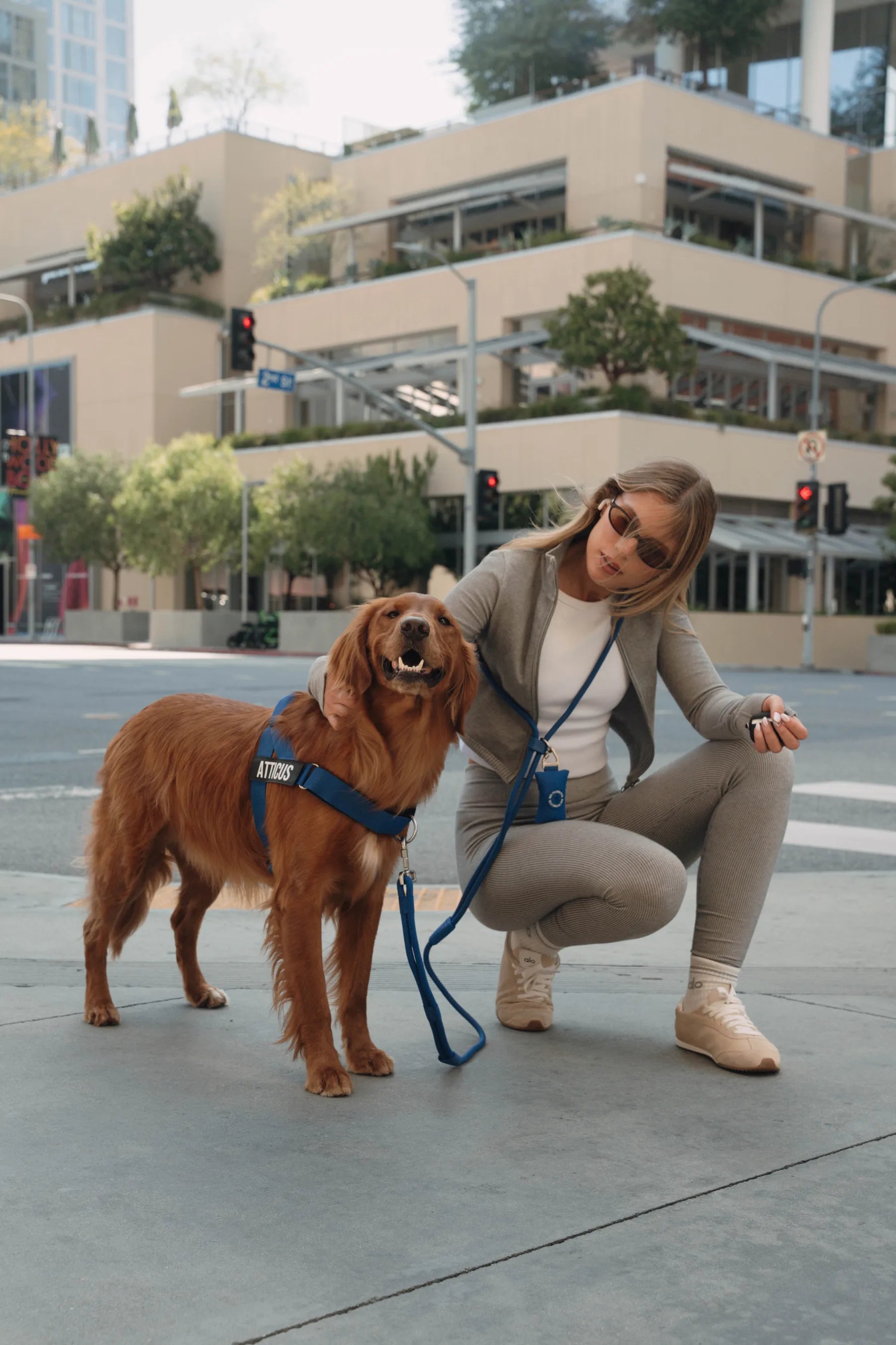 Woman in grey kneeling beside a golden retriever in a blue Dog Friendly Co. harness on a city street