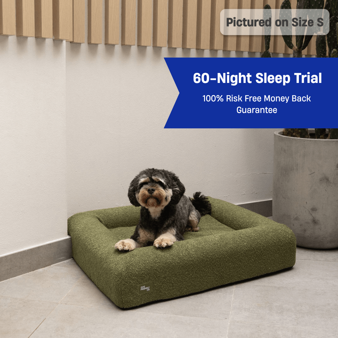 Premium Orthopedic Memory Foam Dog Bed - Green Bouclé (Large)