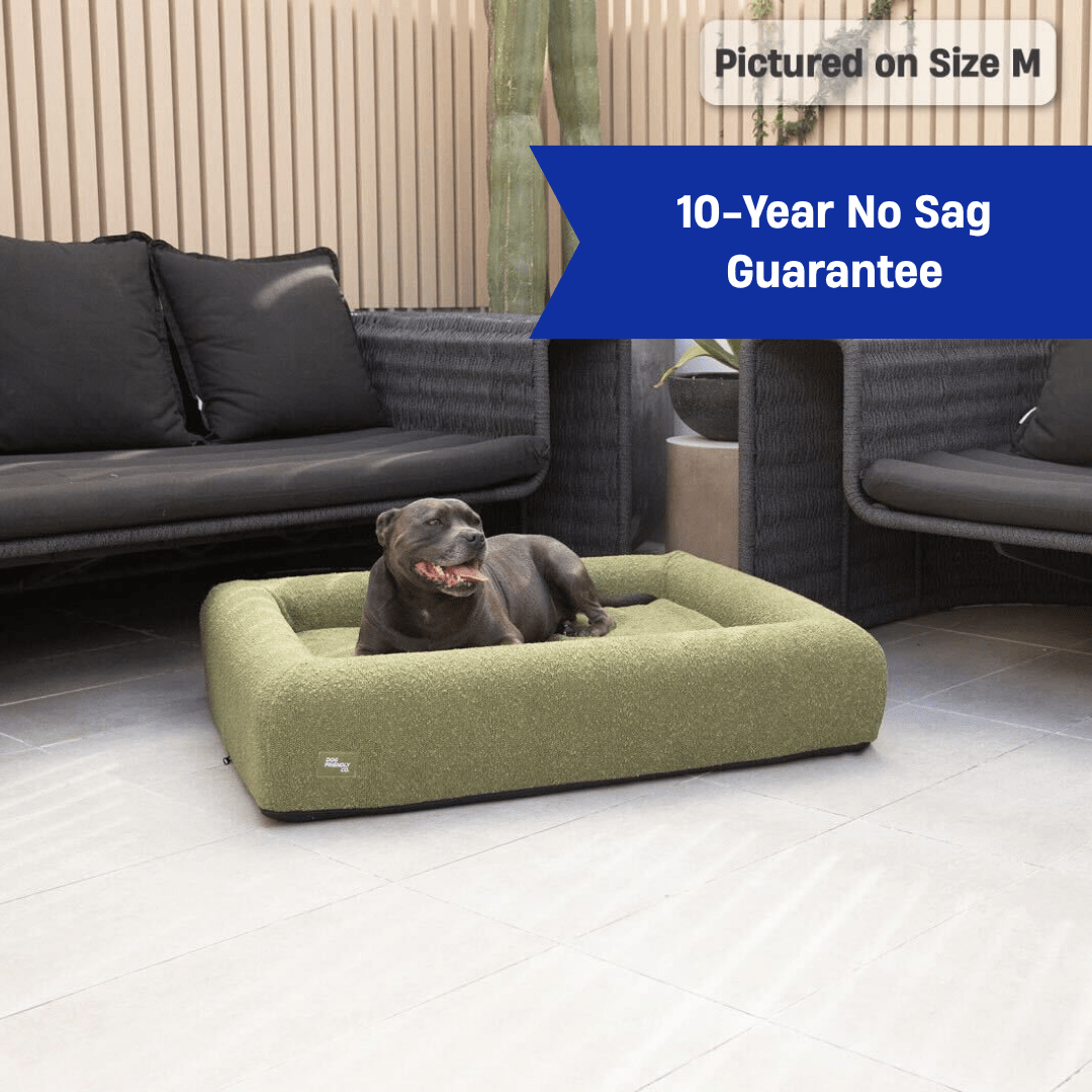 Premium Orthopedic Memory Foam Dog Bed - Green Bouclé (Large)