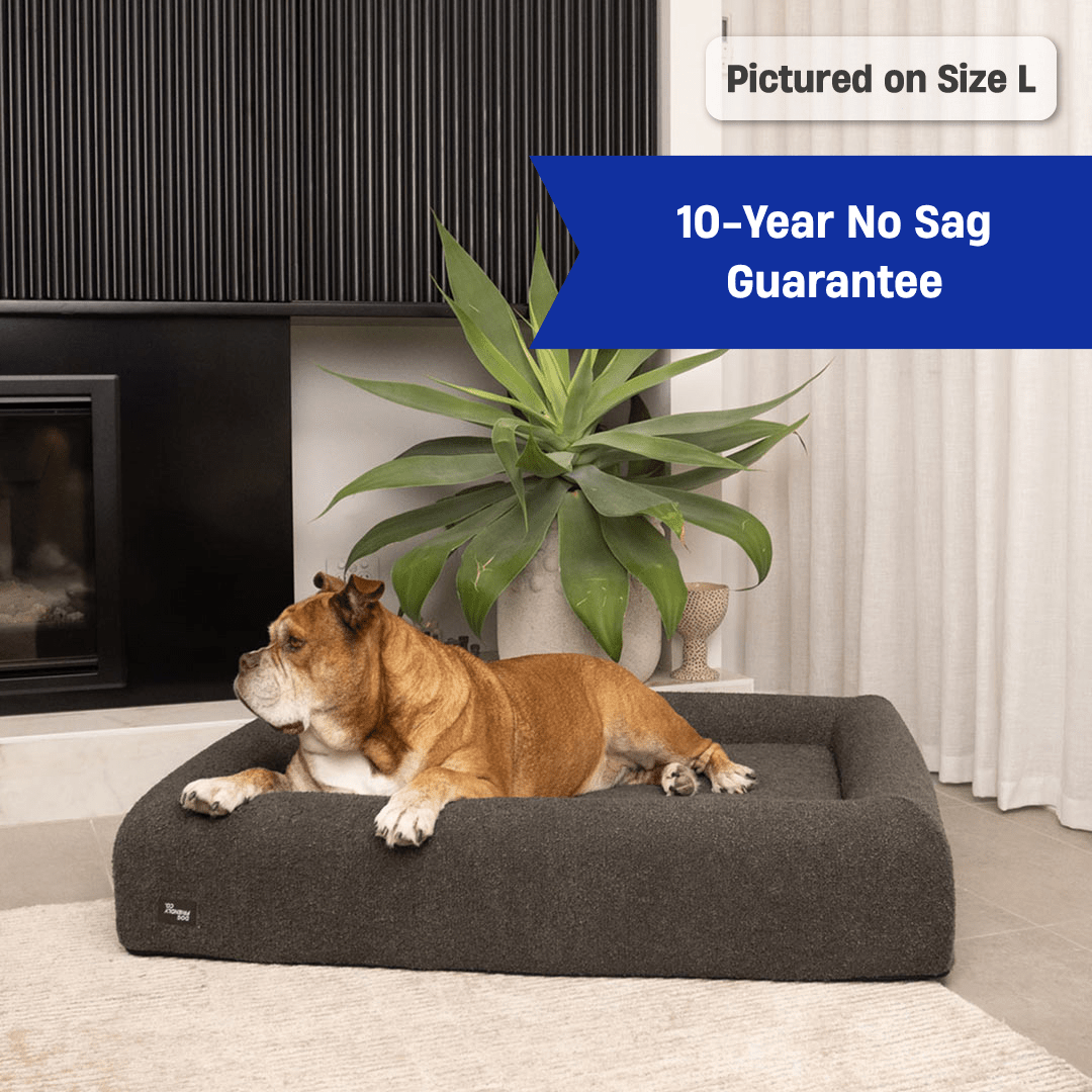Premium Orthopedic Memory Foam Dog Bed - Brown Bouclé (Large)