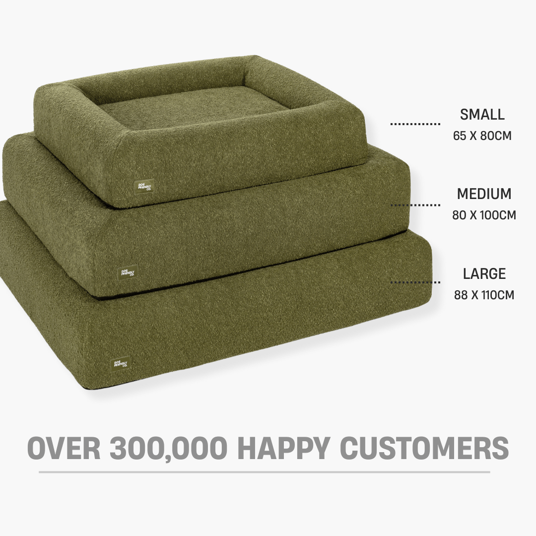 Premium Orthopedic Memory Foam Dog Bed - Green Bouclé (Large)