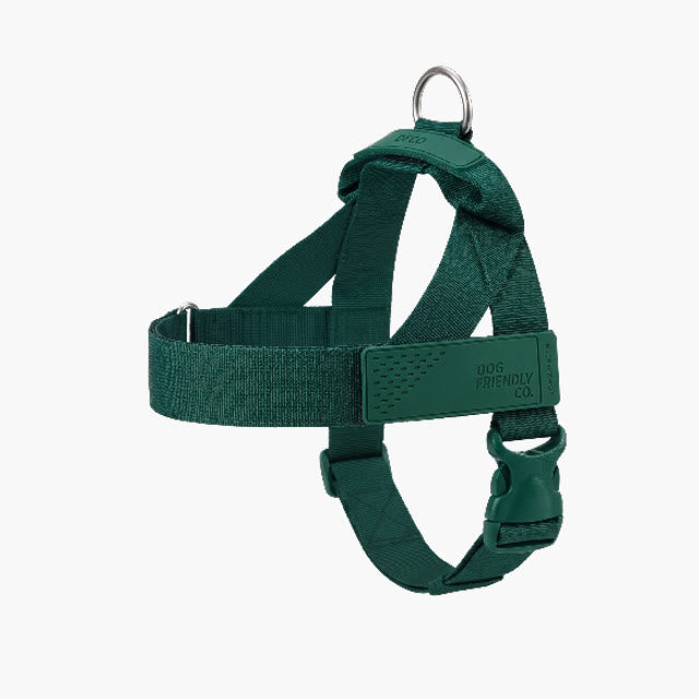 No-pull dog harness from the 7AM Club Limited Edition in Forest (deep green)