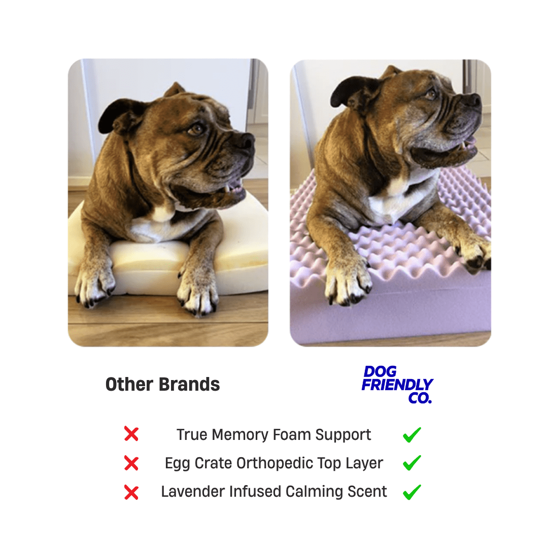 Premium Orthopedic Memory Foam Dog Bed - Beige (Small)