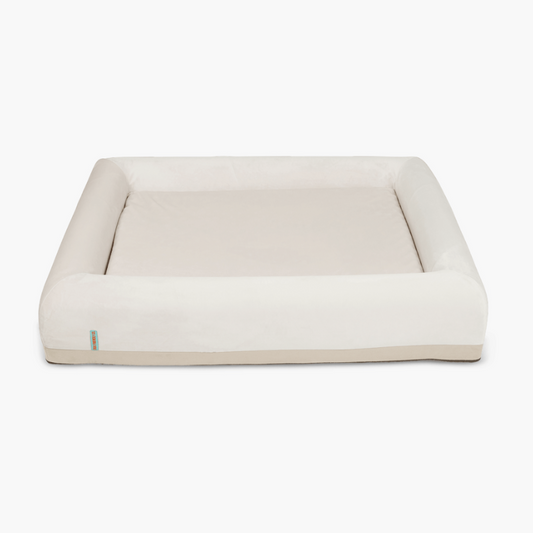 Premium Orthopedic Memory Foam Dog Bed - Champagne (Small)