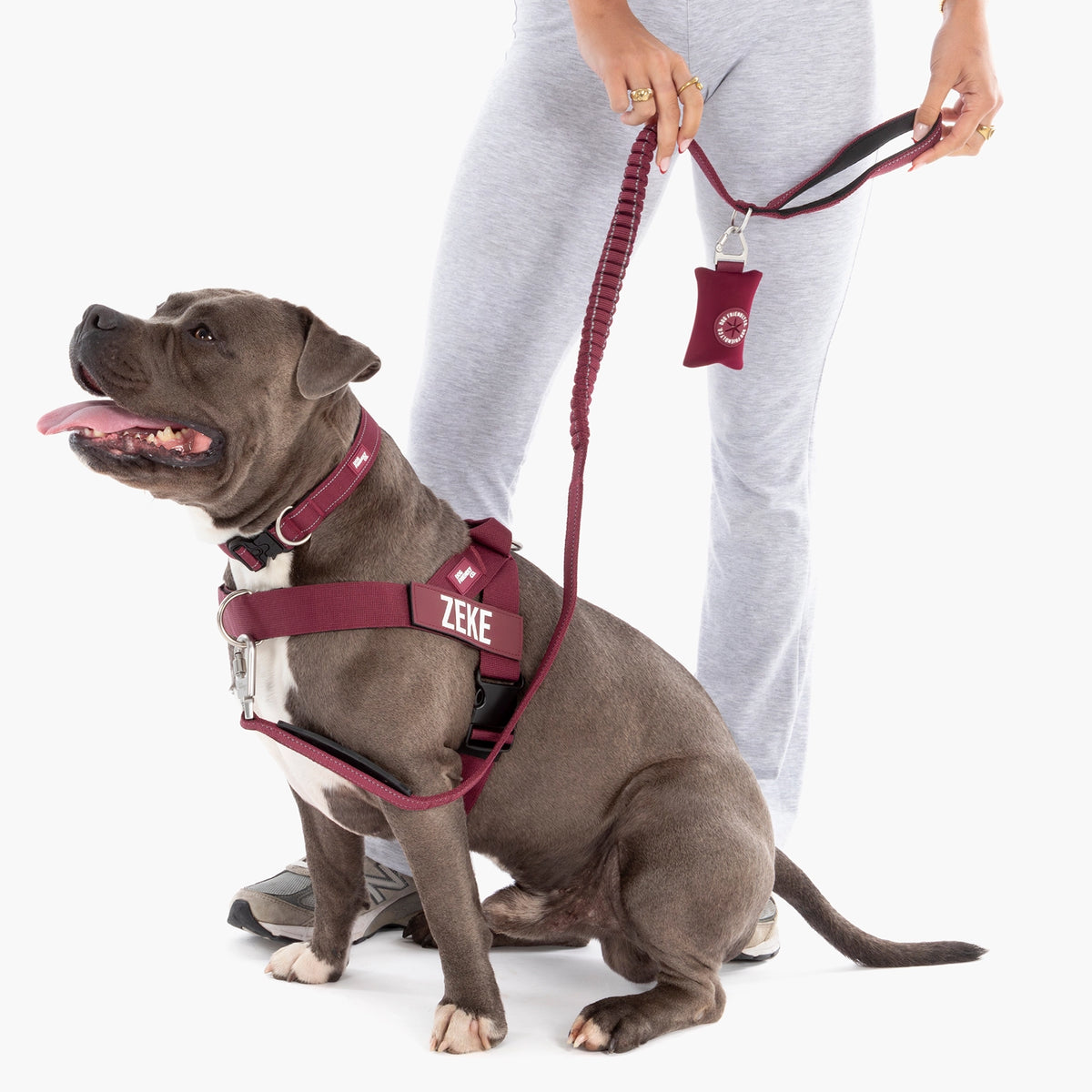 Bungee Dog Leash - Burgundy