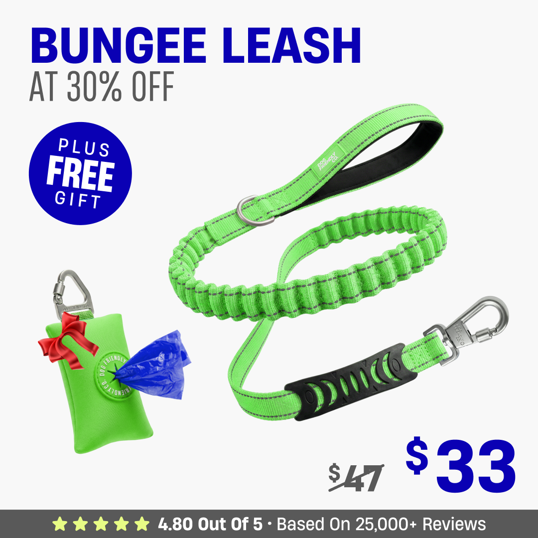 Get Leash at 30% OFF + FREE Poop Bag Holder