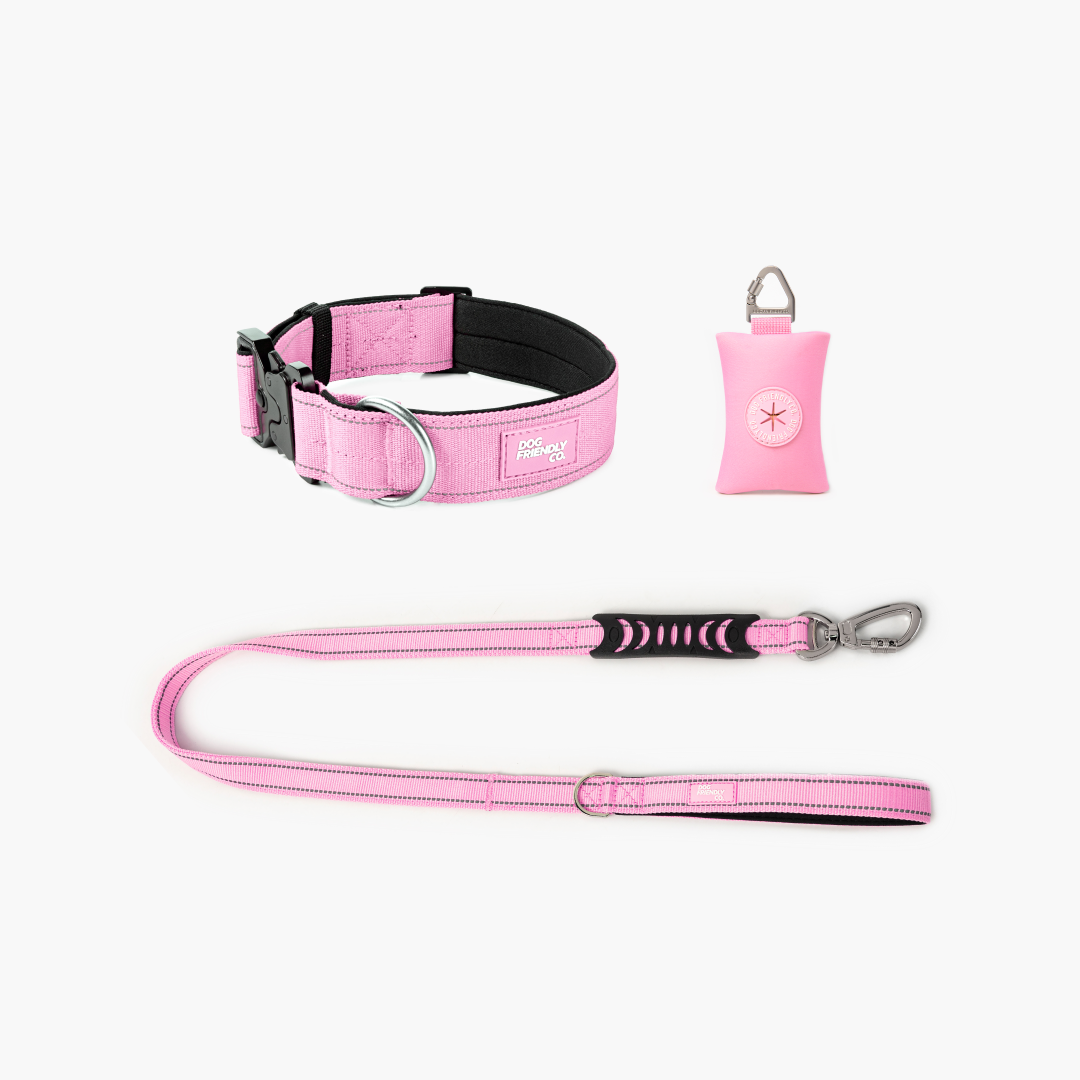 Collar Walk Set - Pink