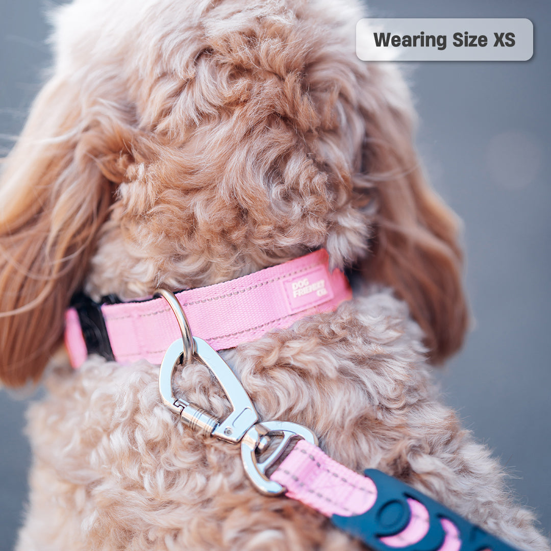 Collar Walk Set - Pink