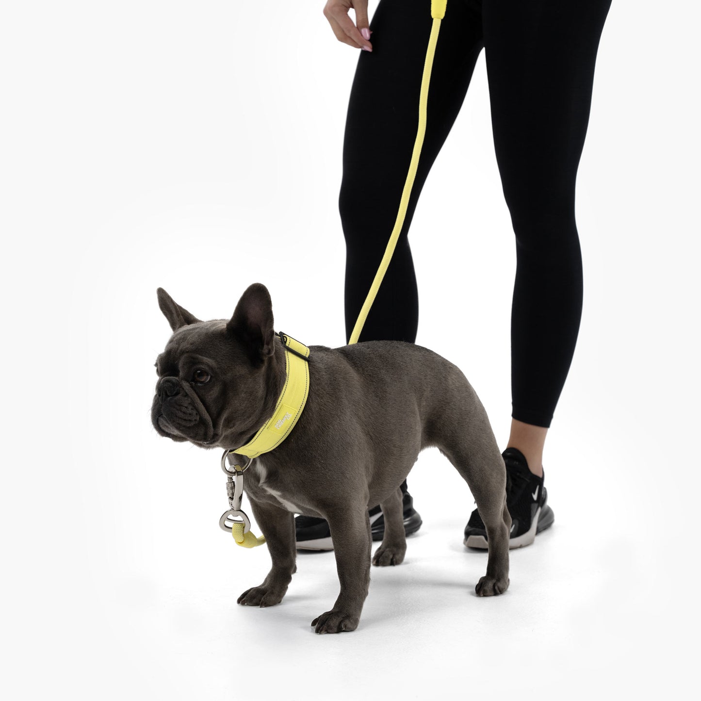 Collar Walk Set - Yellow