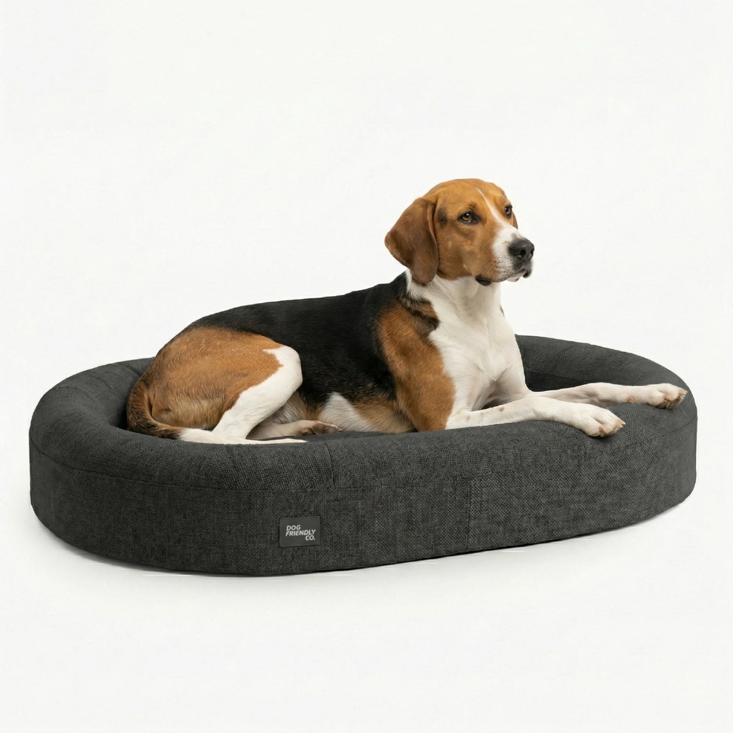 Chill Pill Memory Foam Dog Bed - Charcoal (Large)