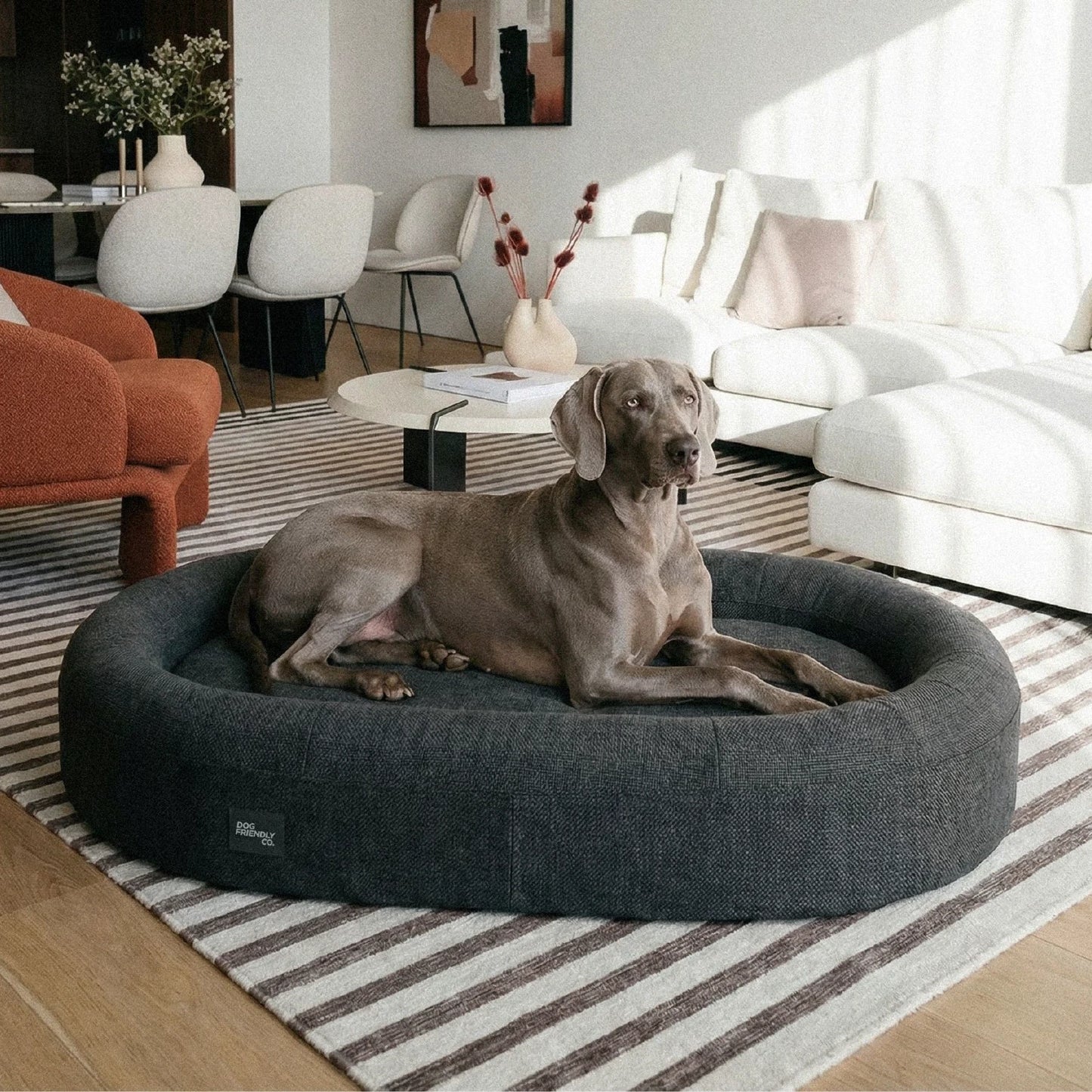 Chill Pill Memory Foam Dog Bed - Charcoal (Large)