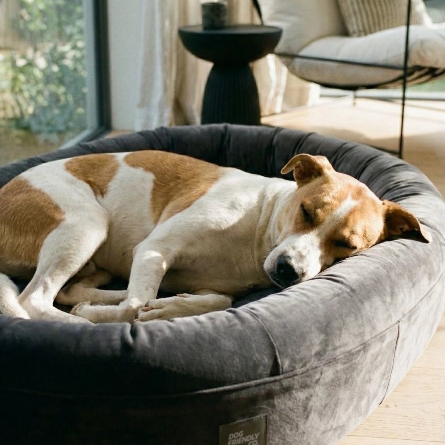 Chill Pill Velvet Easy Fit Cover - Charcoal