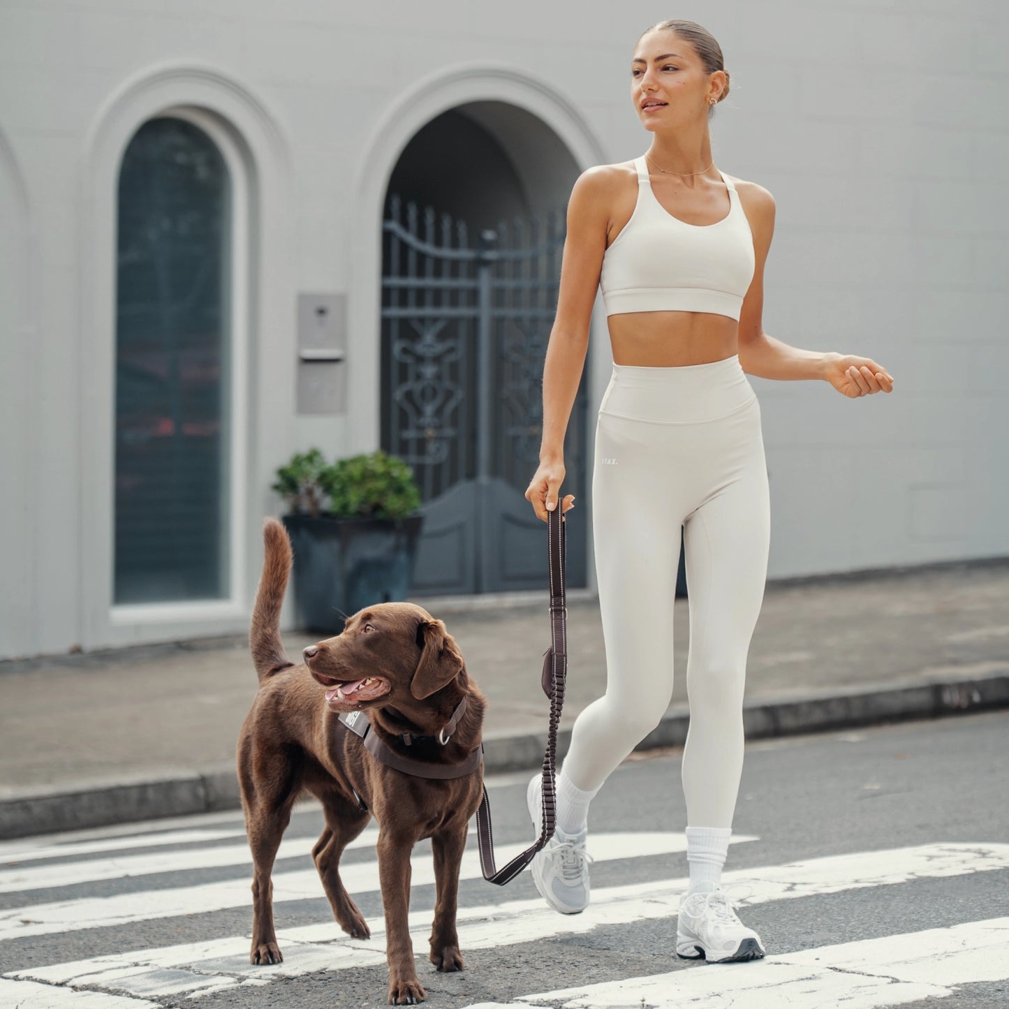 Ultimate No-Pull Bundle - Limited Edition Espresso