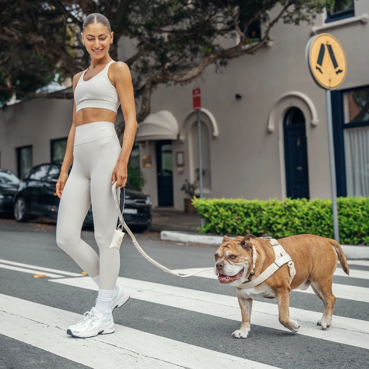 Ultimate No-Pull Bundle - Limited Edition Latte